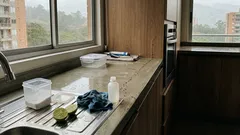 ¿Hormigas en la cocina? El truco del vinagre y los hábitos que cortan la ruta