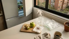 Cómo germinar semillas de manzana en casa con el método de la nevera