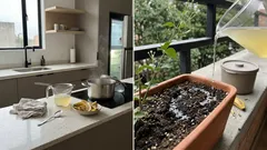 Agua de cáscara de banano para plantas: qué aporta de verdad y cómo usarla sin plagas